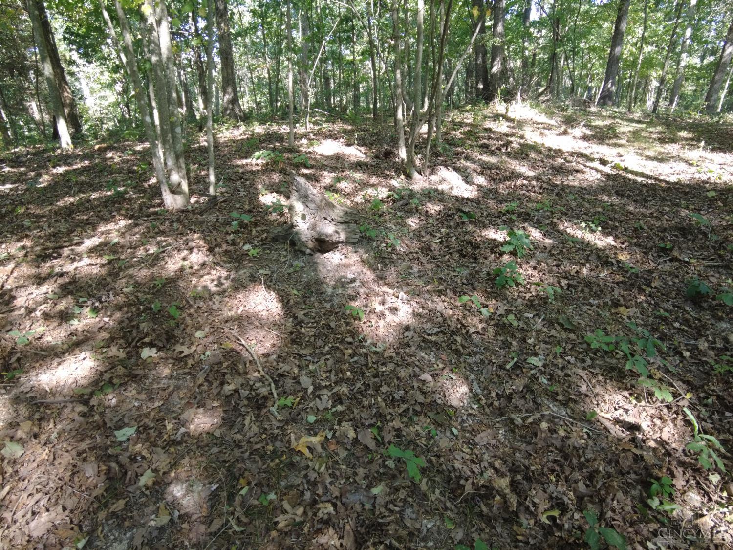 16 Black Hollow Road Peebles, OH 45660 - Photo 29 of 39