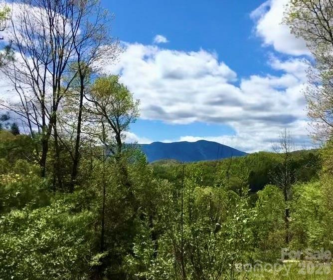 65 Blue Ridge Gem Mine Road Spruce Pine, NC 28777 - Photo 5 of 30