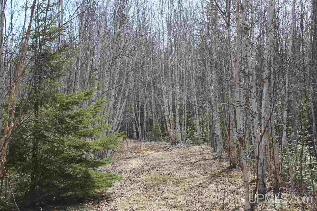 Tbd Reeds Point Road, Unit LAT 46 89919 LON 88 2455 Lanse, MI 49946 - Photo 6 of 19
