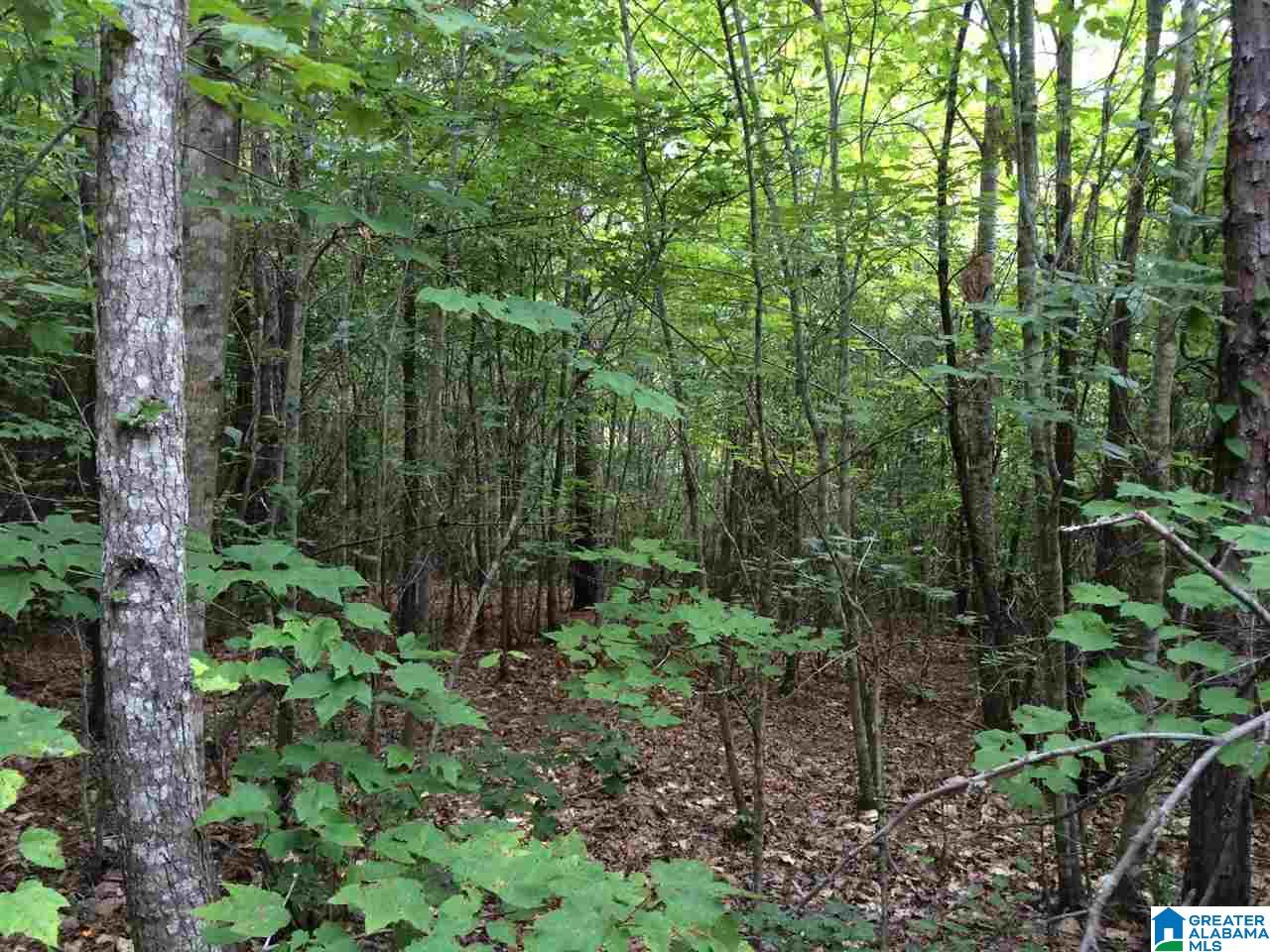 Spunky Hollow Road, Unit 18 7 Oneonta, AL 35121 - Photo 27 of 46