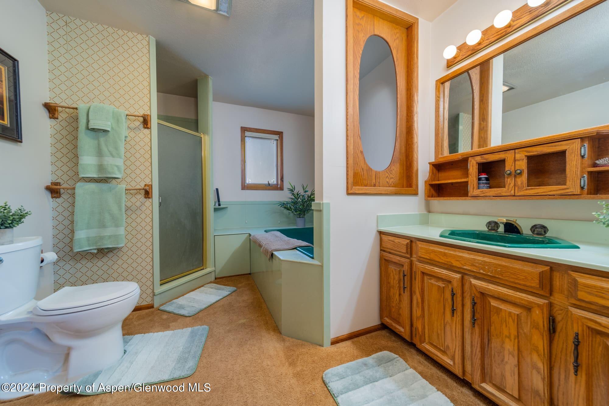 1501 14 Road Loma, CO 81524 - Photo 21 of 27 a bathroom with a sink a toilet and shower