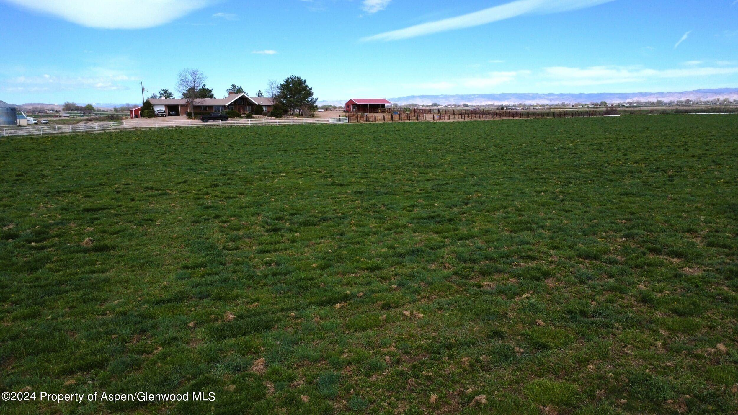 1501 14 Road Loma, CO 81524 - Photo 3 of 27 a view of a green field