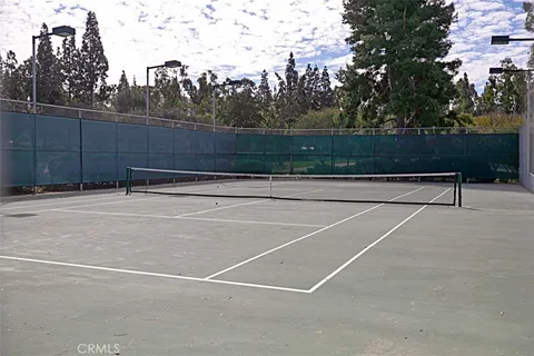 a view of a park with large trees