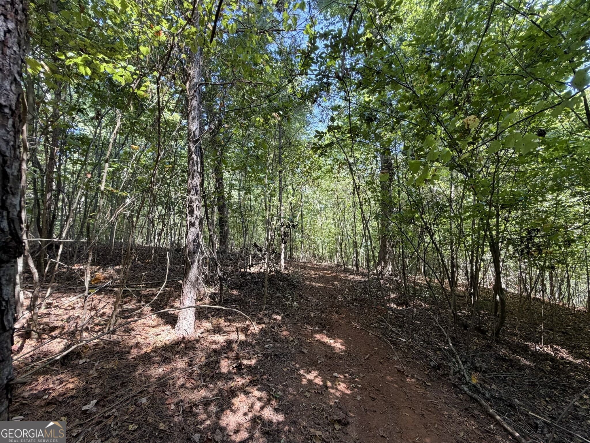 11 Bunch Road Tignall, GA 30668 - Photo 23 of 81 Gallery Image 23