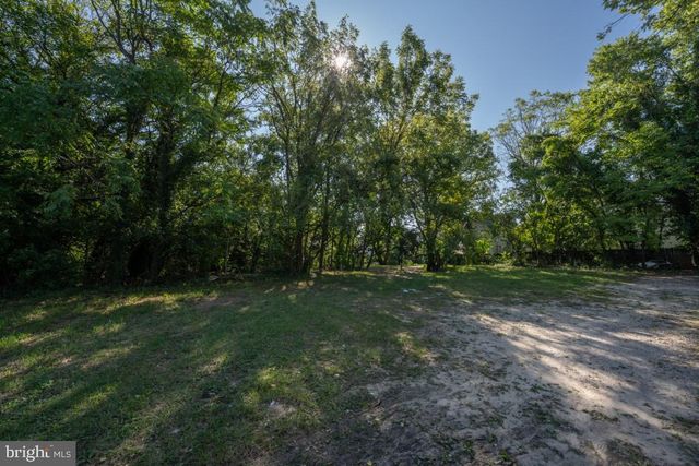 a view of outdoor space with trees