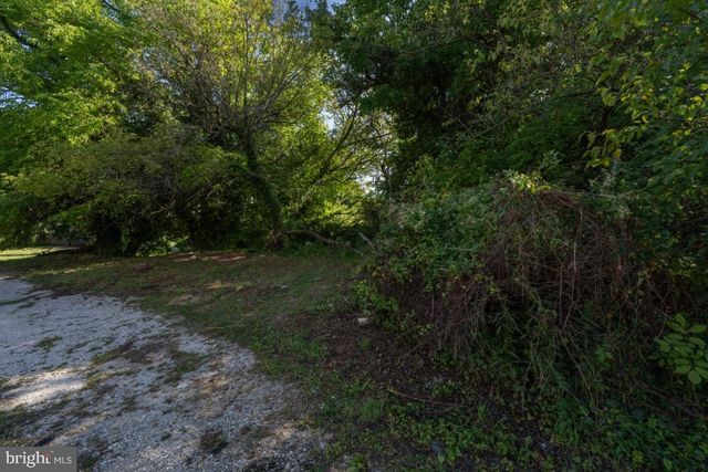 a view of a yard with a trees