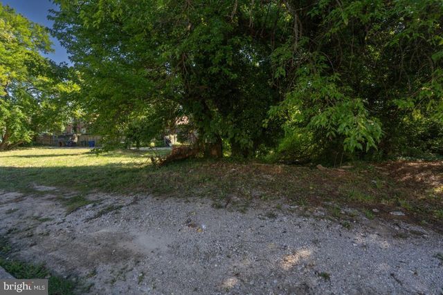 a view of a trees in a yard