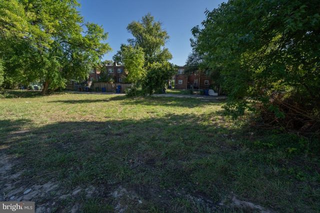 a big yard with lots of green space and trees