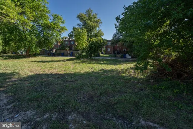 a big yard with lots of green space and trees
