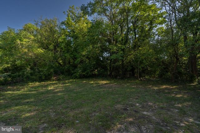 a view of outdoor space with trees all around
