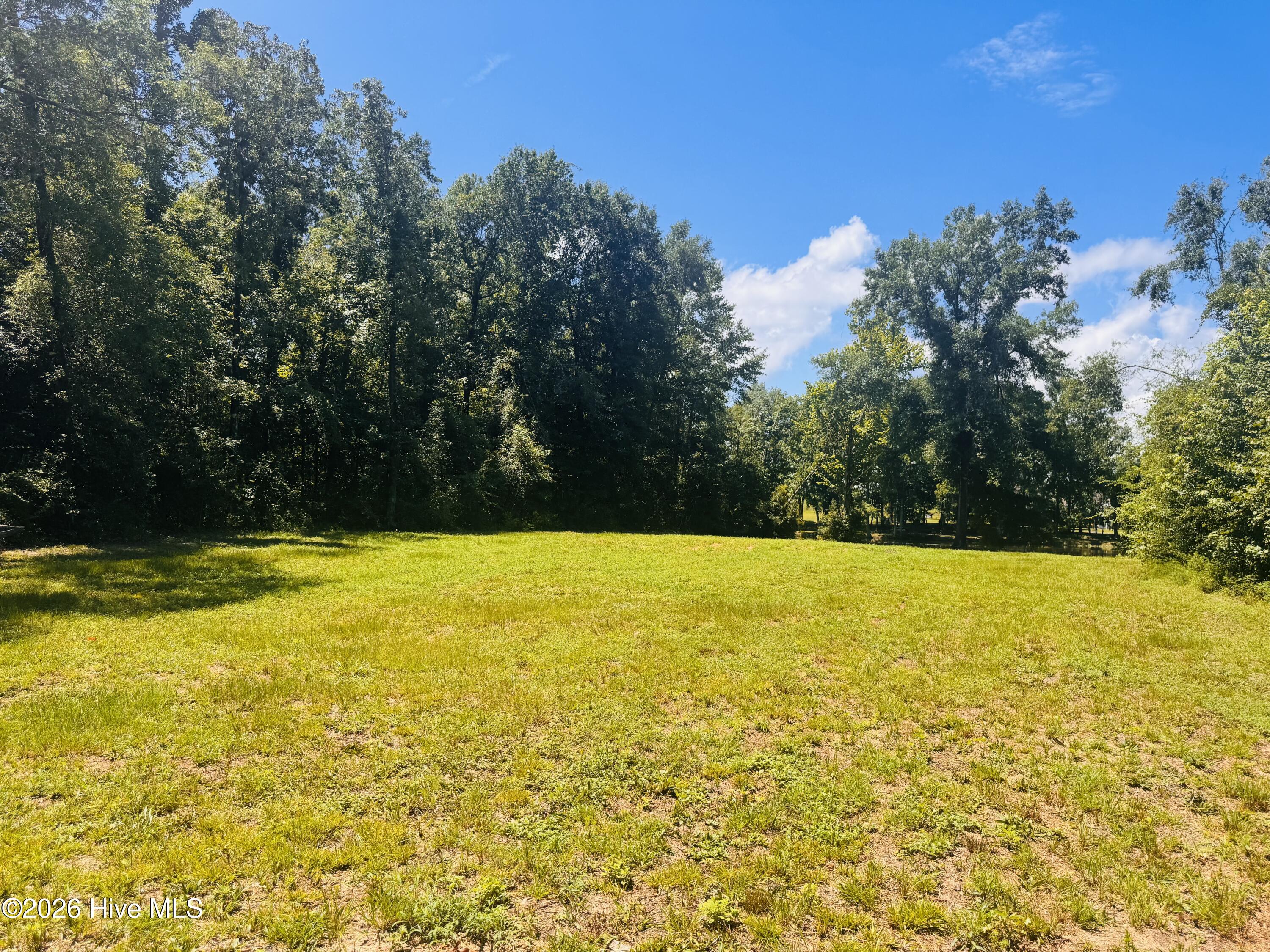1042 Lake Cadeli Road Bartow, GA 30413 - Photo 8 of 17