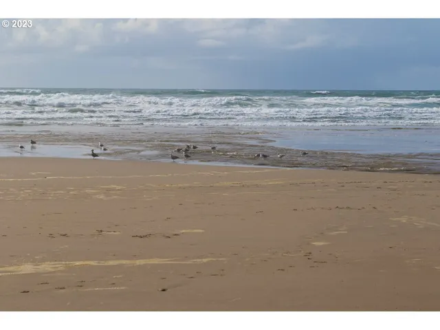 $585,000 | Hwy101 Moolack Shore, Newport, OR 97365