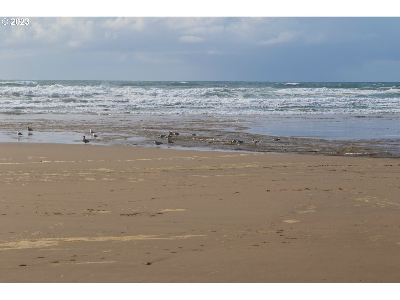 Hwy101 Moolack Shore Newport, OR 97365 - Photo 9 of 26