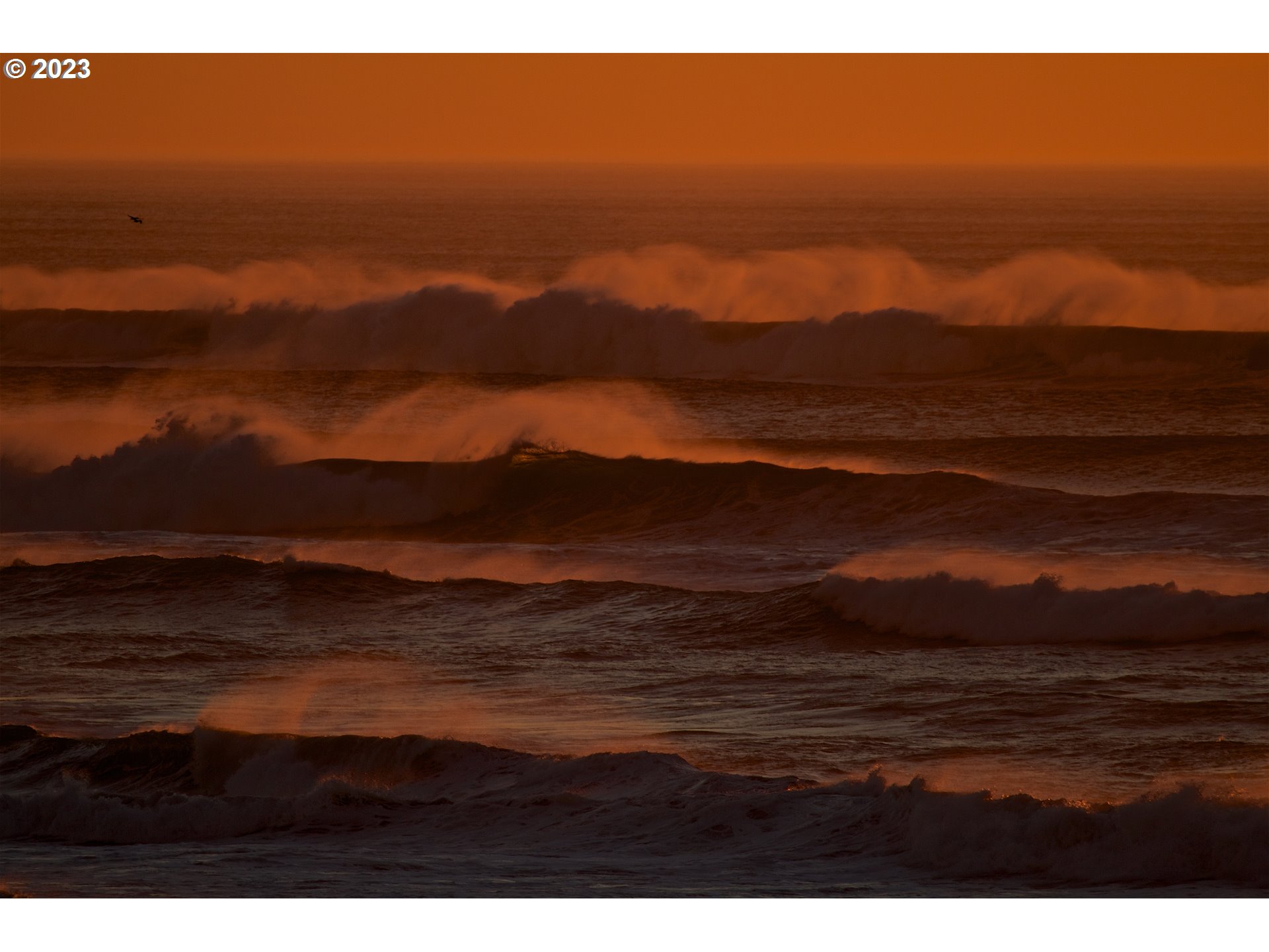 Hwy101 Moolack Shore Newport, OR 97365 - Photo 10 of 26
