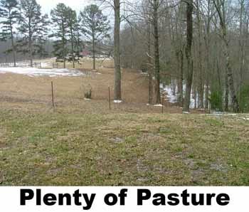 519 Boone Ridge Road Jamestown, TN 38556 - Photo 13 of 21 Pasture