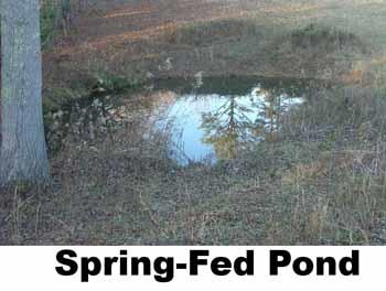 519 Boone Ridge Road Jamestown, TN 38556 - Photo 16 of 21 Pond