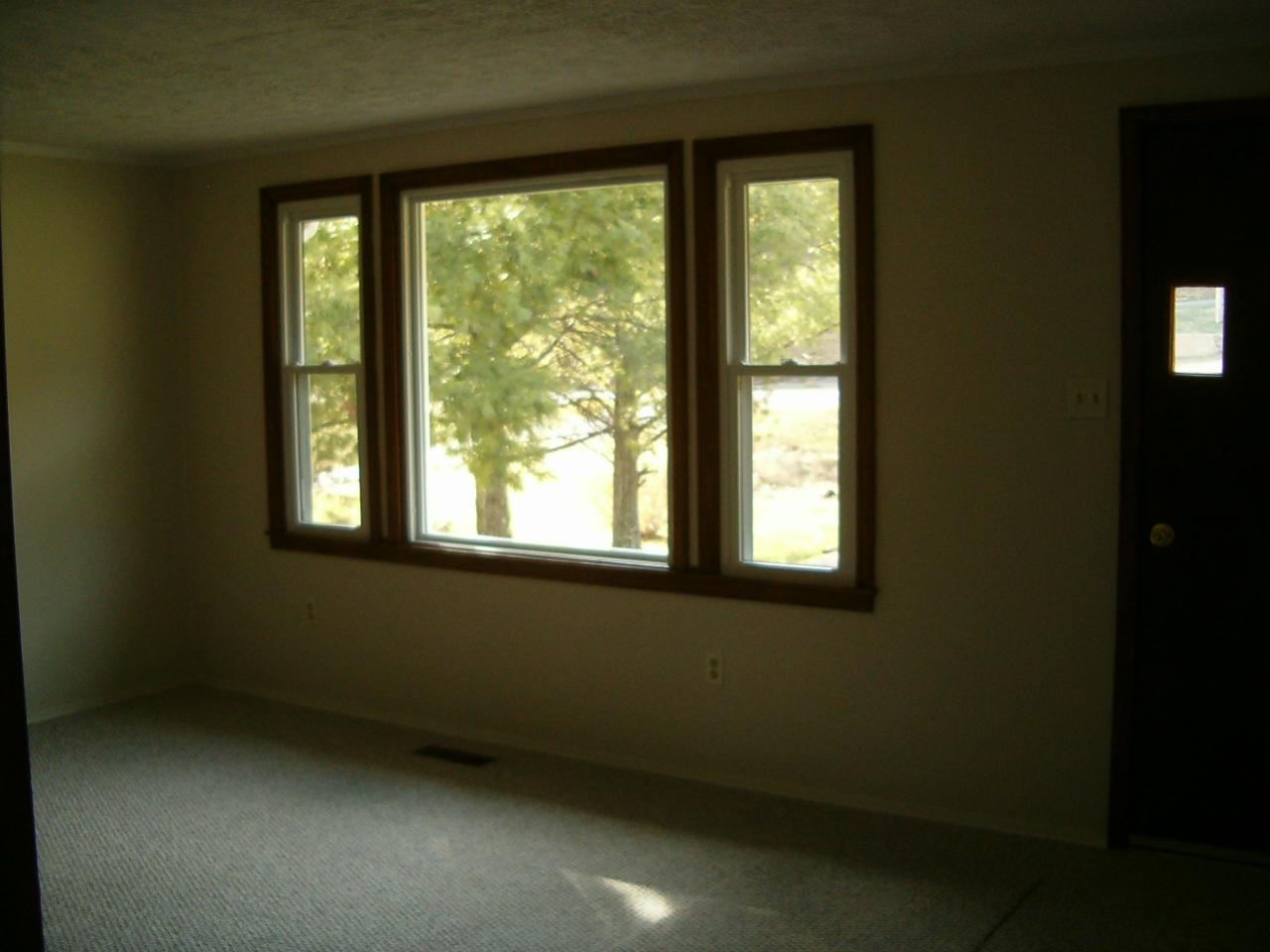 6594 Roanoke Road Shawsville, VA 24162 - Photo 2 of 7 an empty room with a window