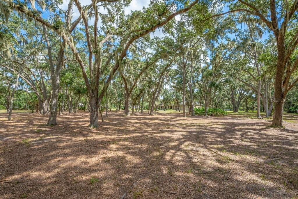 11832 Neal Road Lithia, FL 33547 - Photo 83 of 83 Gallery Image 83