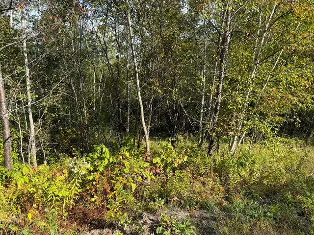 $49,500 | 11 Bowling Green Lane, Belfast, ME 04915