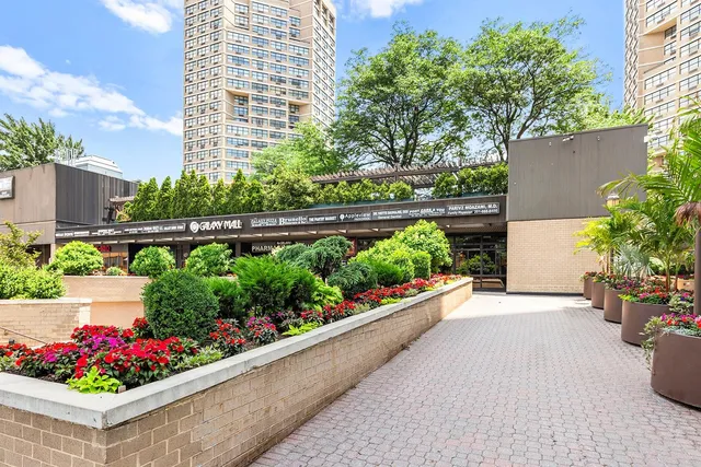 a view of a garden with potted plants