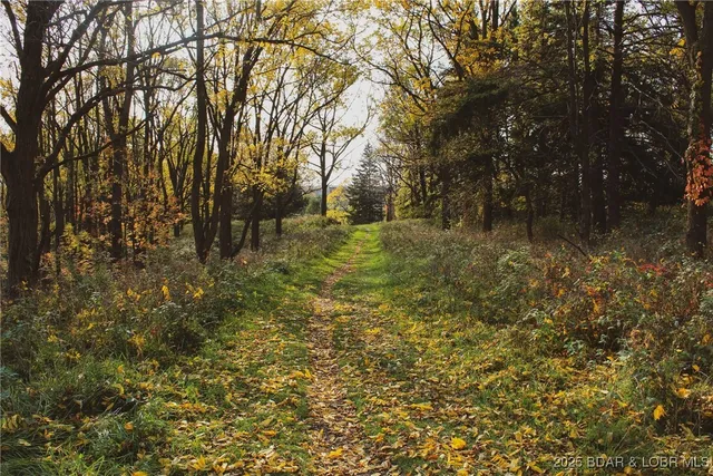 $10,997 | Tim Road, Edwards, MO 65326