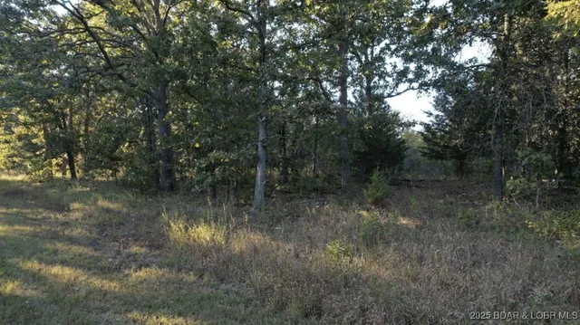 $10,997 | Tim Road, Edwards, MO 65326