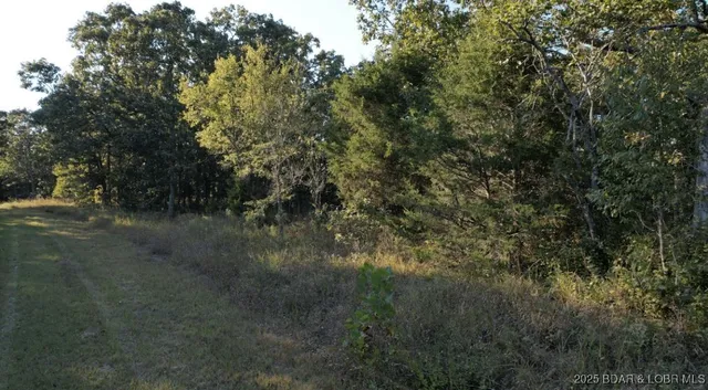 $10,997 | Tim Road, Edwards, MO 65326