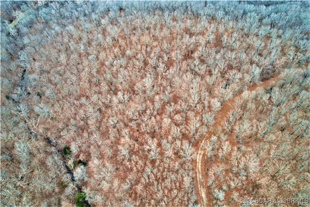 $10,997 | Tim Road, Edwards, MO 65326