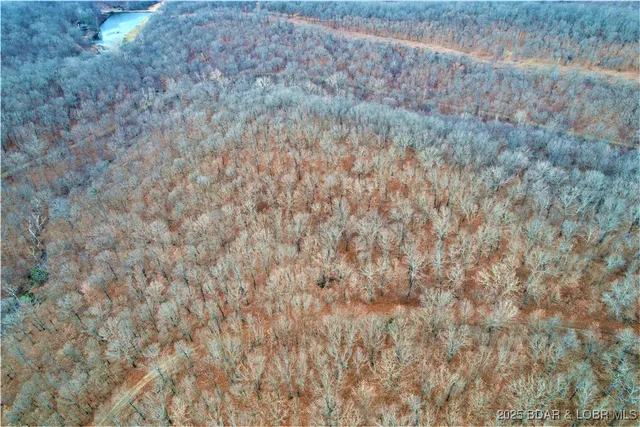 $10,997 | Tim Road, Edwards, MO 65326