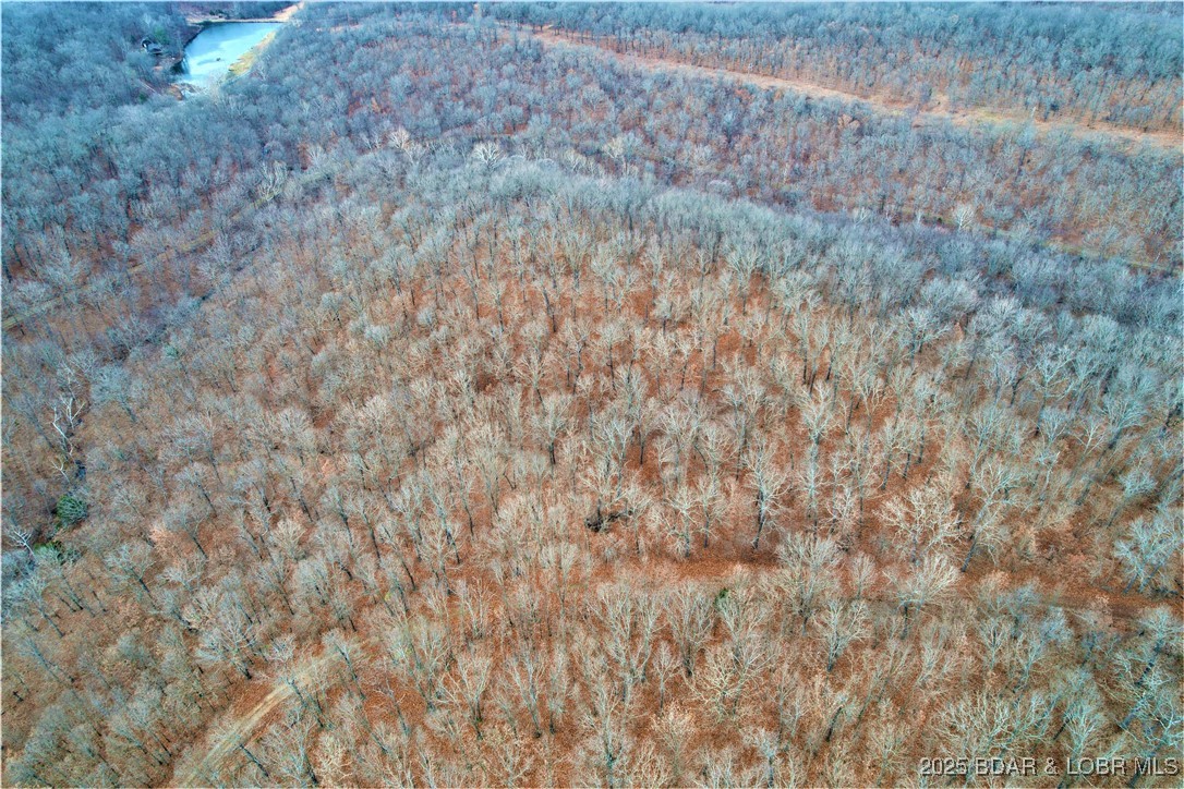 Tim Road Edwards, MO 65326 - Photo 6 of 8