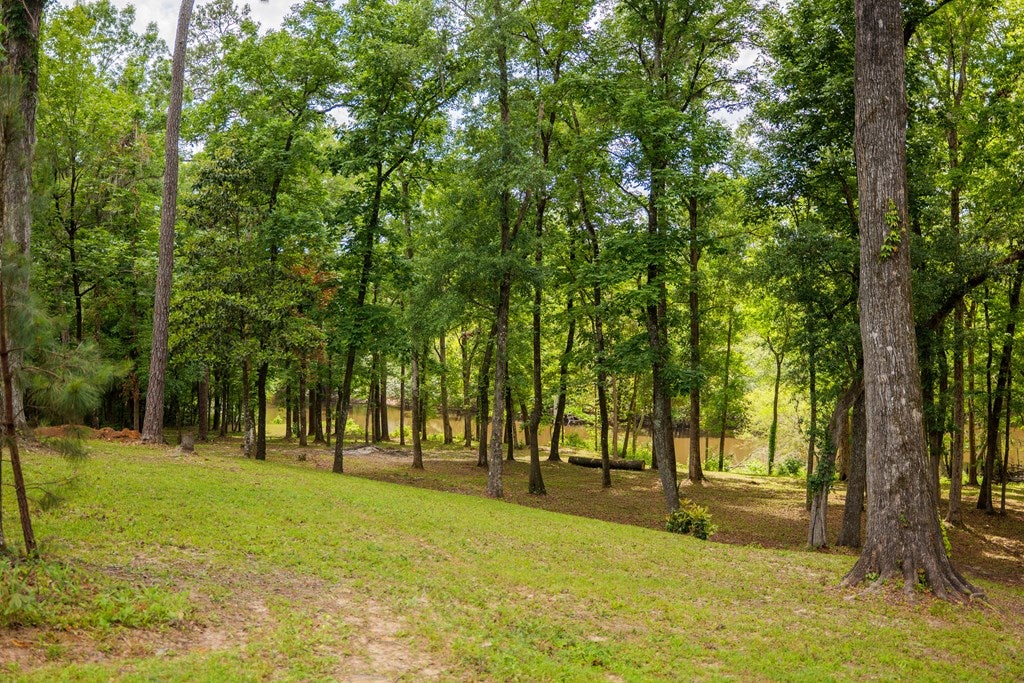 8610 Morven Road Hahira, GA 31632 - Photo 68 of 75 Gallery Image 68