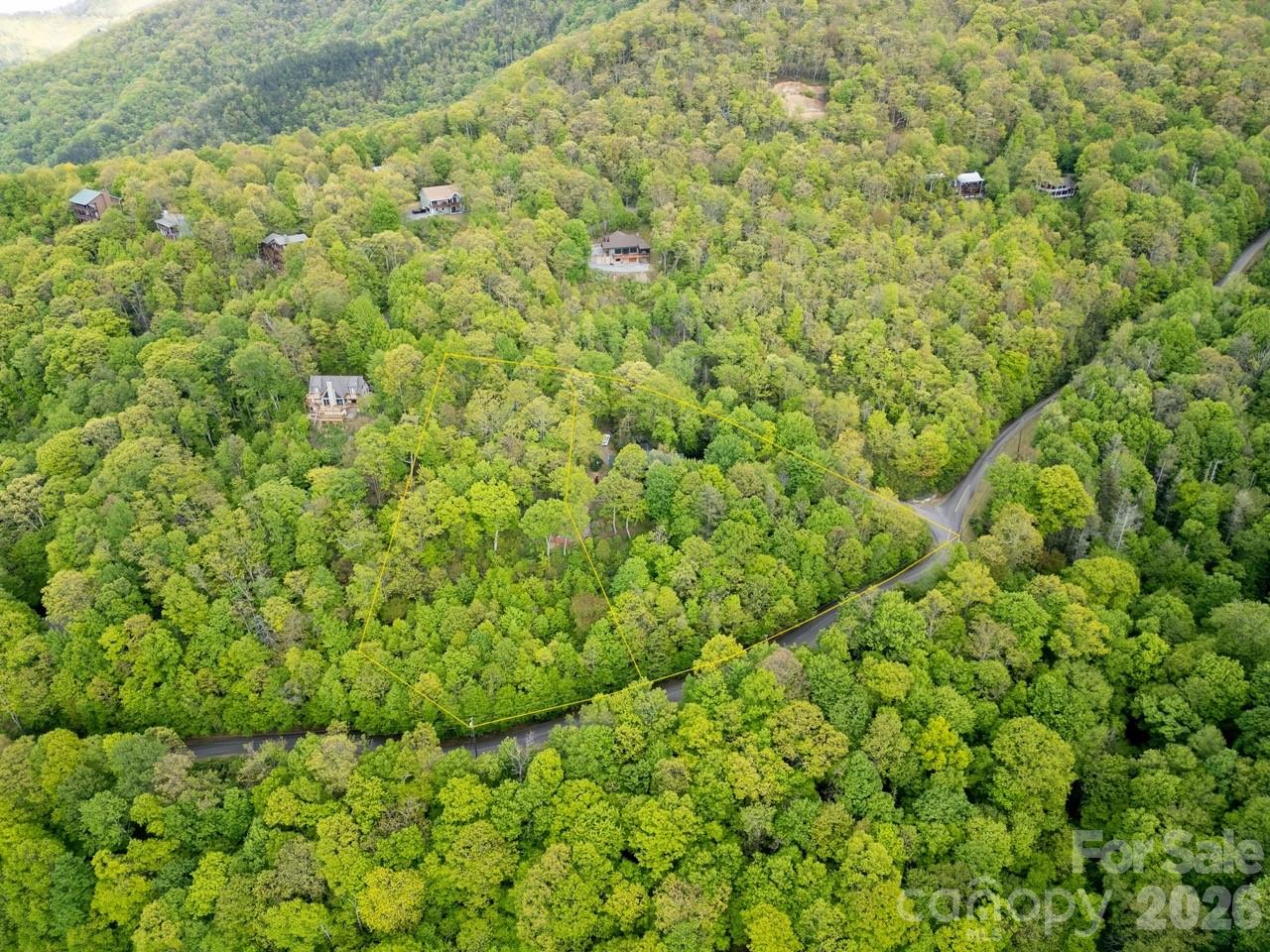35 Falcon Crest Loop Maggie Valley, NC 28751 - Photo 45 of 46 a view of a big yard with plants and large trees