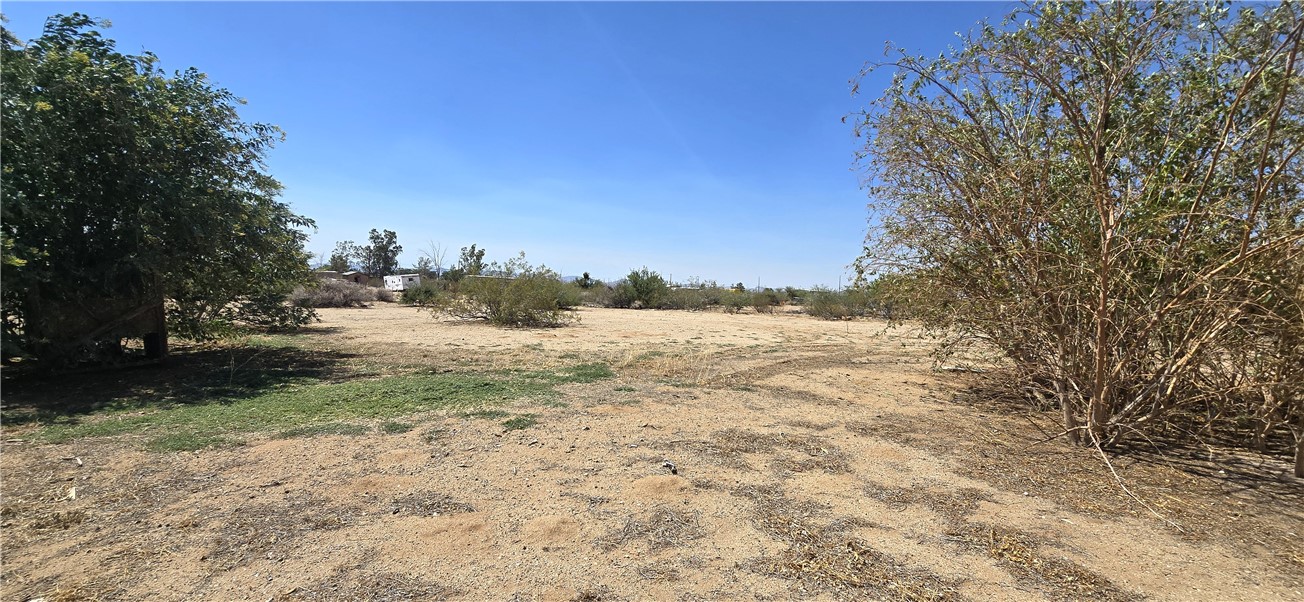 357 South Magma Road Golden Valley, AZ 86413 - Photo 34 of 39 Back yard