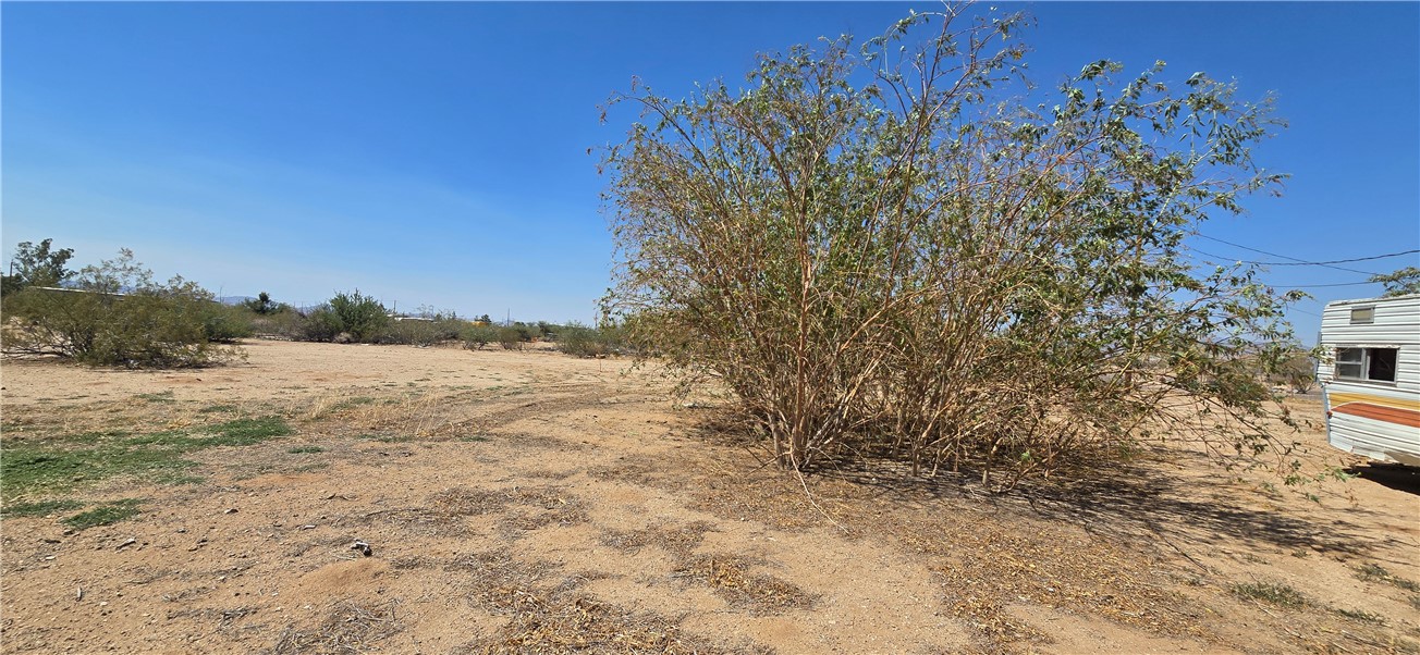 357 South Magma Road Golden Valley, AZ 86413 - Photo 35 of 39 Yard