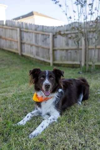 $450,000 | 2010 Sercy Drive, Spring Hill, TN 37174