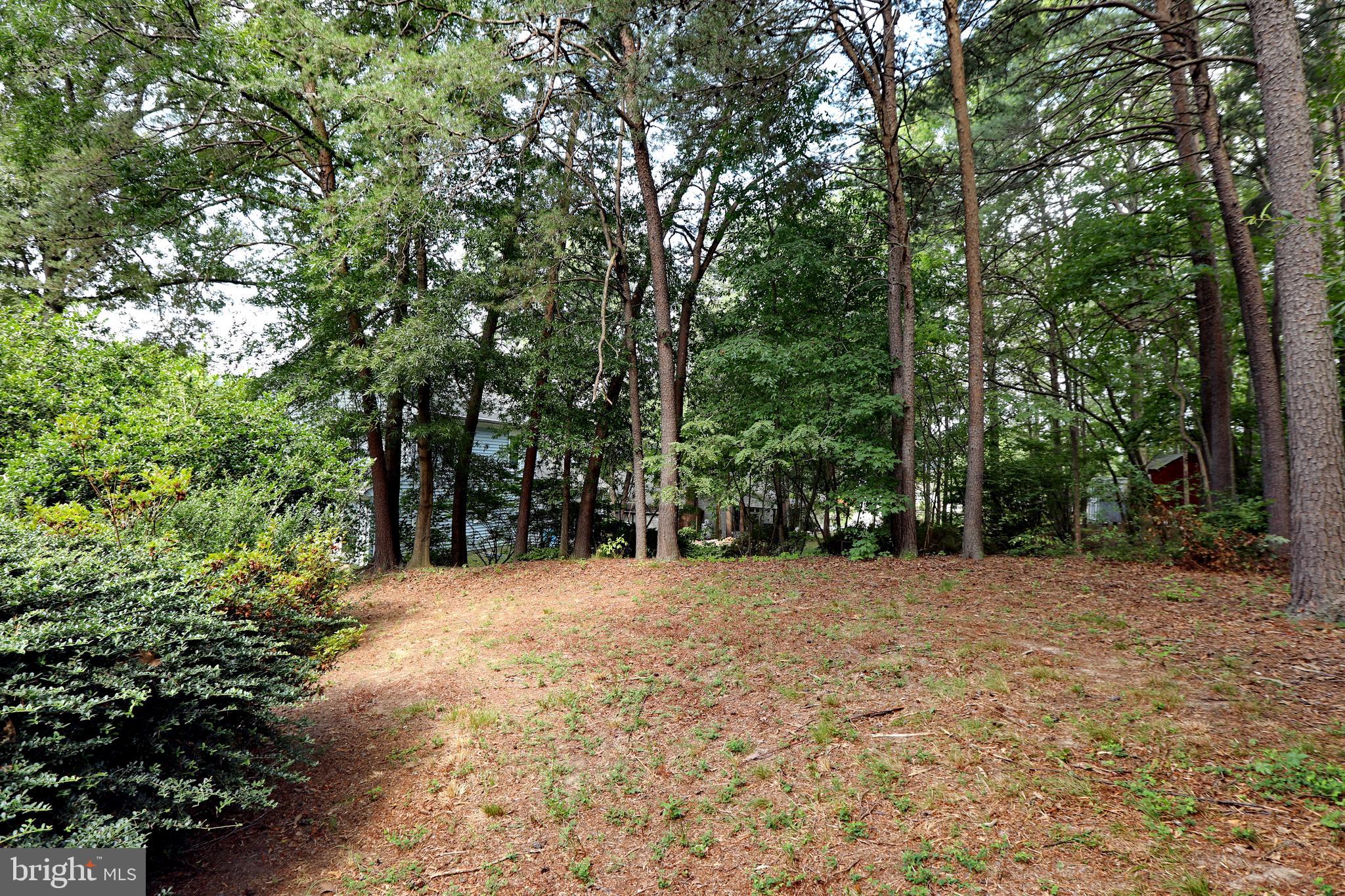 3507 Fox Ridge Road Waldorf, MD 20601 - Photo 41 of 49 Gallery Image 41