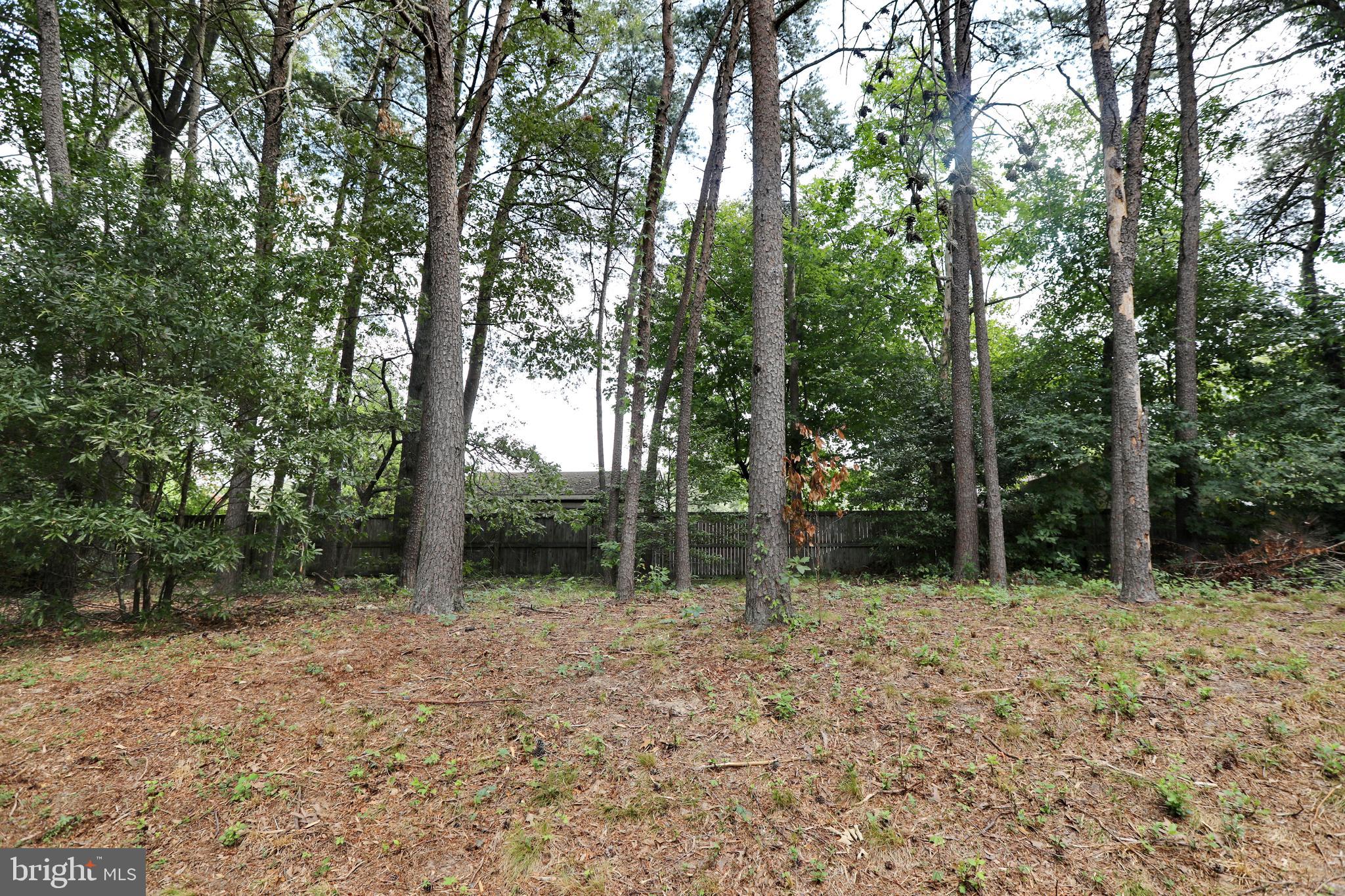 3507 Fox Ridge Road Waldorf, MD 20601 - Photo 42 of 49 Gallery Image 42