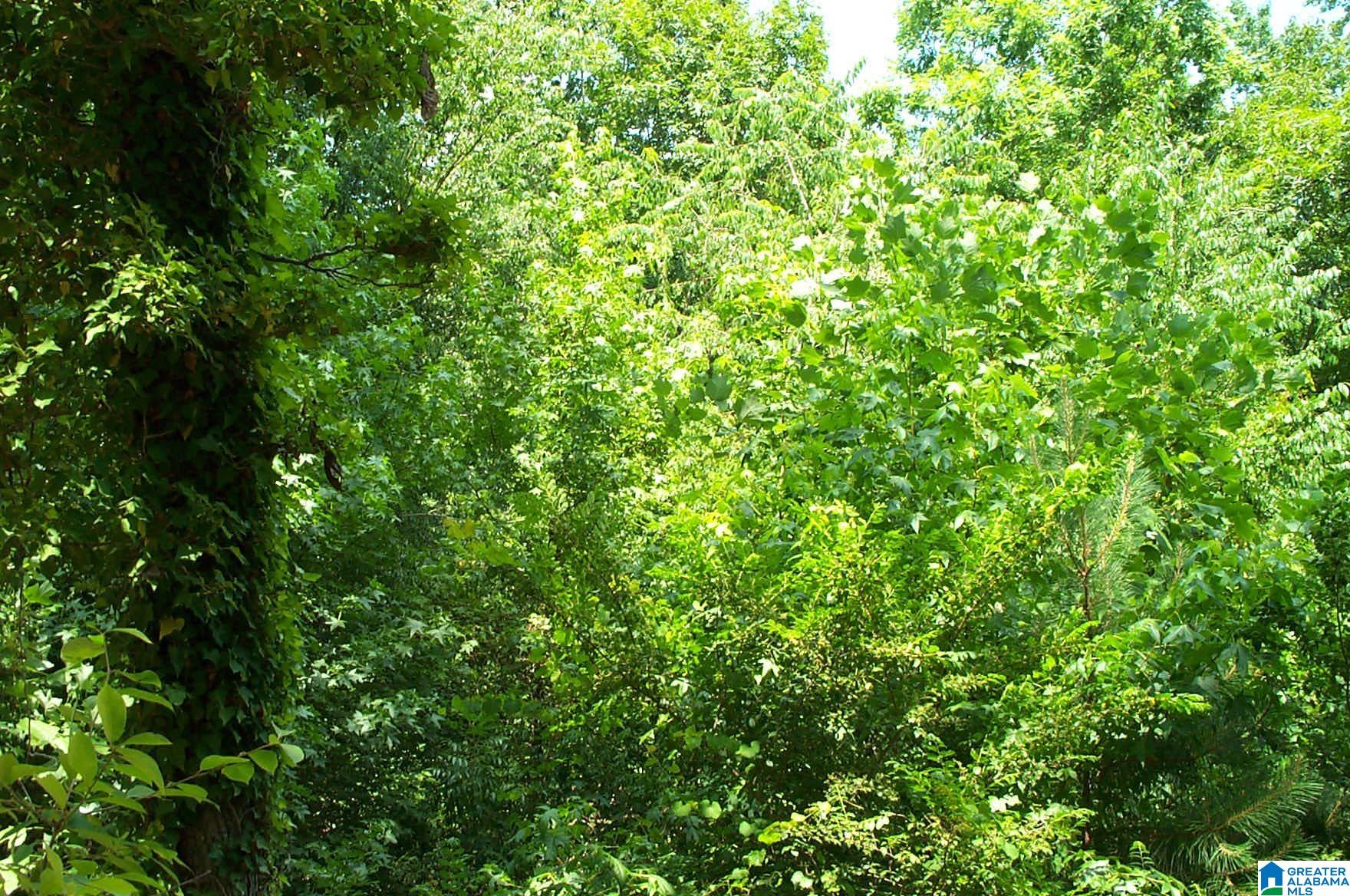 850 Sardis Road, Unit 1 Ashland, AL 36251 - Photo 4 of 10