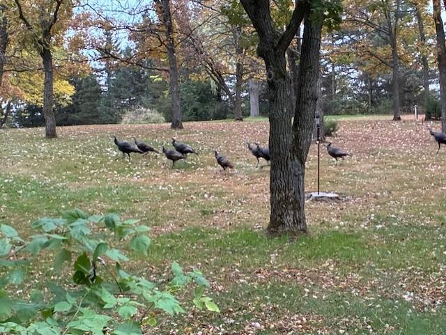 9175 Lakewood Shore Road Northwest Rice, MN 56367 - Photo 25 of 25