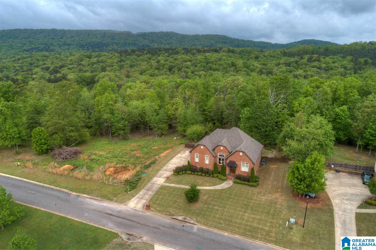 452 Ronny Lane Springville, AL 35146 - Photo 4 of 42