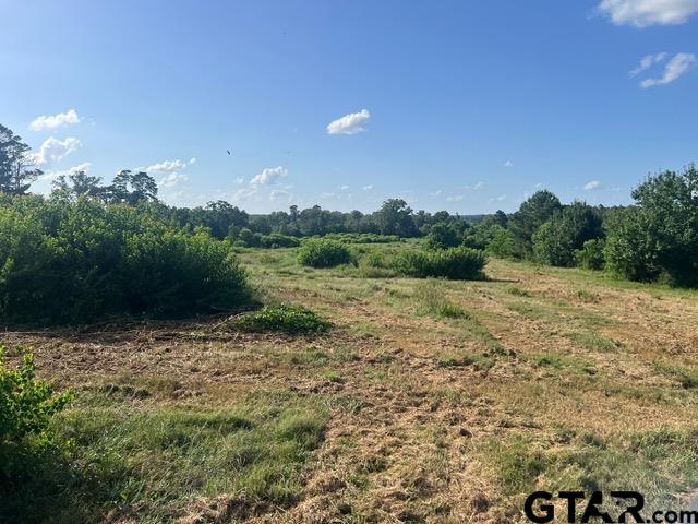 589 Highway 84 Tenaha, TX 75974 - Photo 2 of 4 a view of a water with mountain