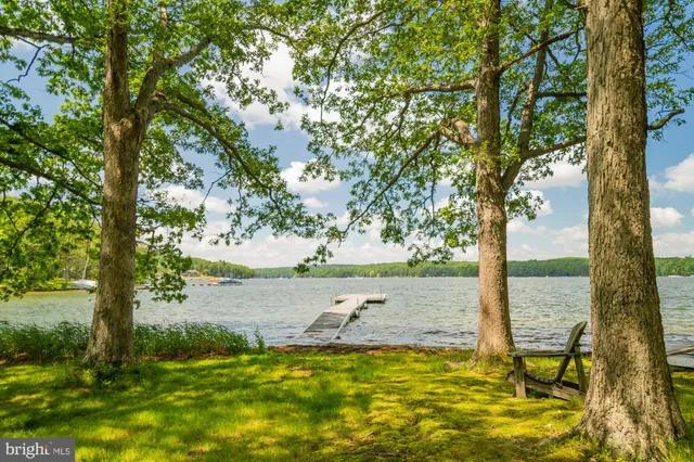a house with a tree in front of it