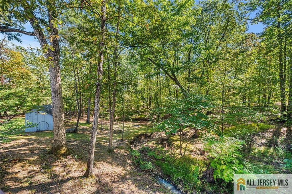 1266 Mt Vernon Road Bridgewater, NJ 08807 - Photo 41 of 44 a view of yard