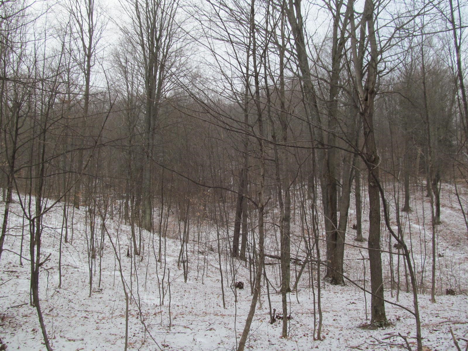 10-acres North 23 Road Mesick, MI 49668 - Photo 13 of 18
