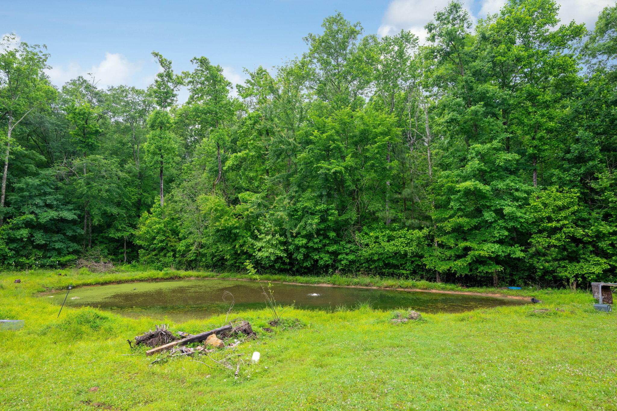1110 Boanerges Church Road Old Fort, TN 37362 - Photo 33 of 37 42-web-or-mls-DSC_3760