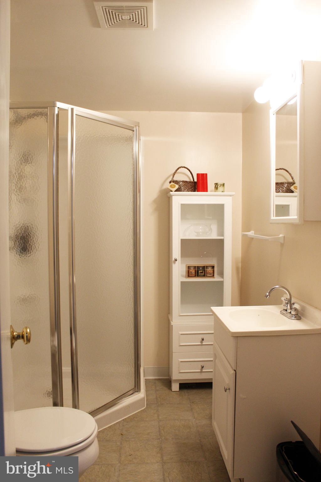 2 Thorburn Road Gaithersburg, MD 20878 - Photo 17 of 19 Full Bathroom with Shower in Finished Basement