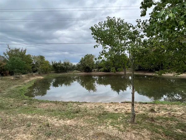 a body of water with a tree in the background