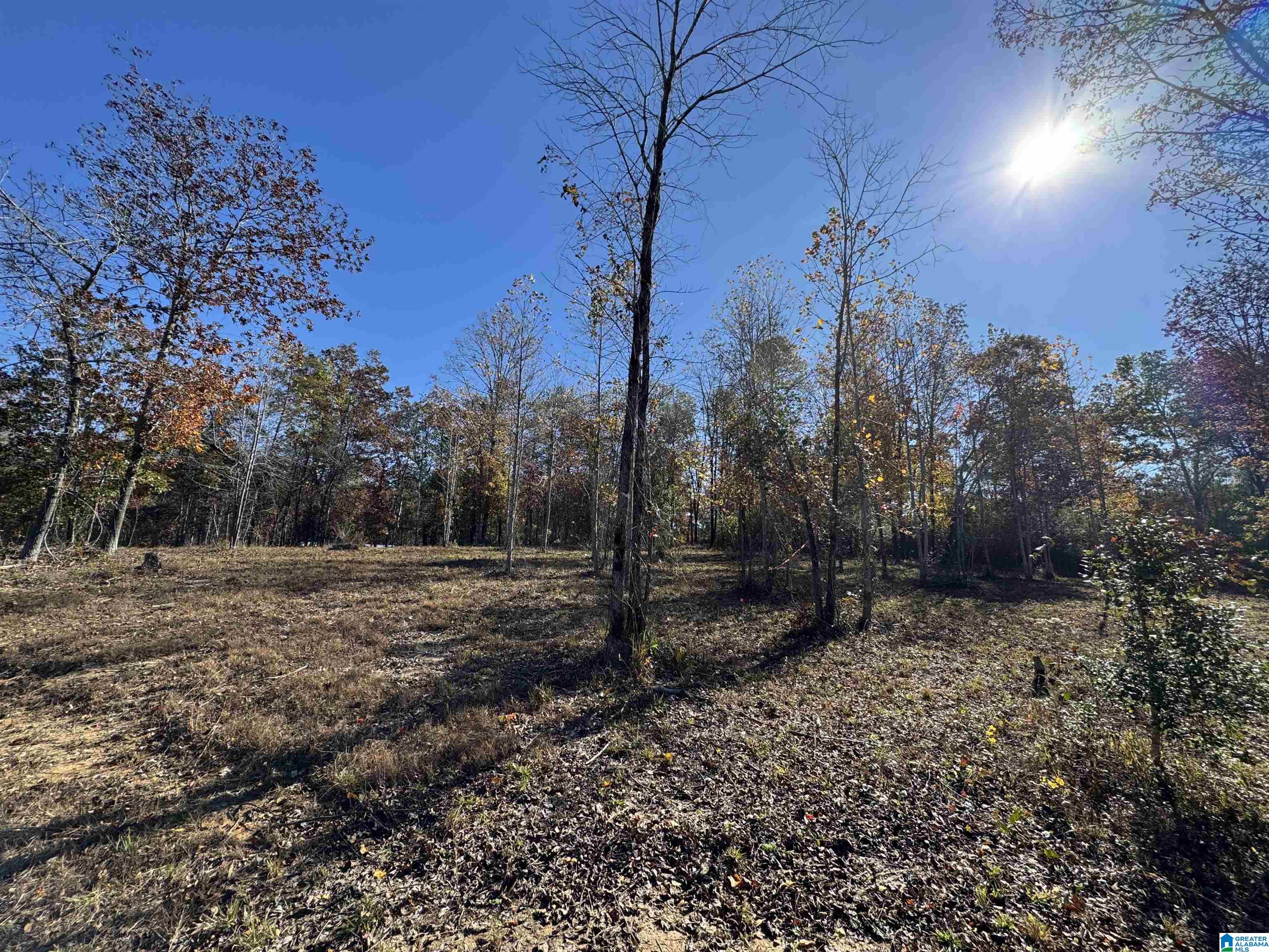 18917 Cattle Ranch Road, Unit 1 Brookwood, AL 35444 - Photo 5 of 7 Gallery Image 5