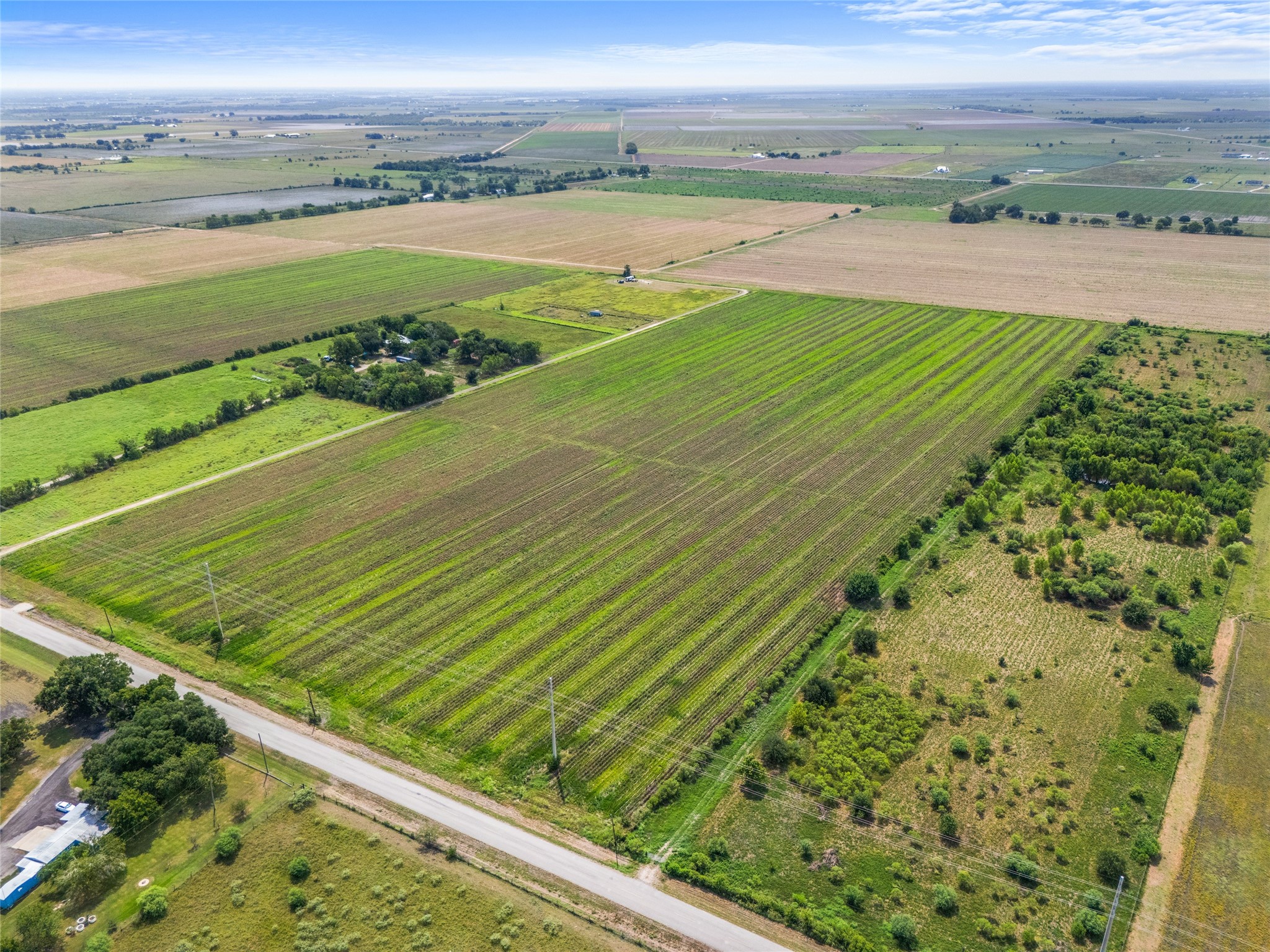12203 Buls Road East Bernard, TX 77435 - Photo 10 of 24 Gallery Image 10