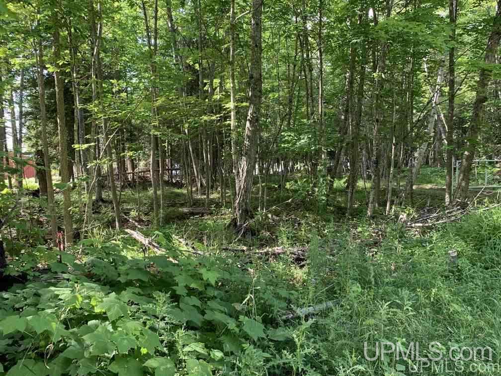 12898 Witz Road Skanee, MI 49962 - Photo 27 of 29 Gallery Image 27